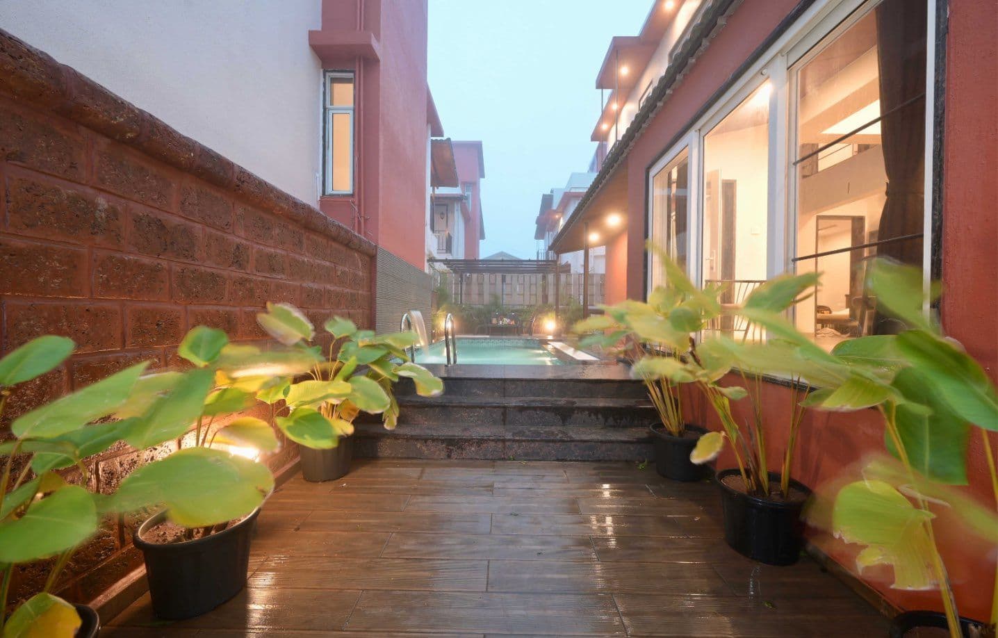 Irene Casa — photo 5